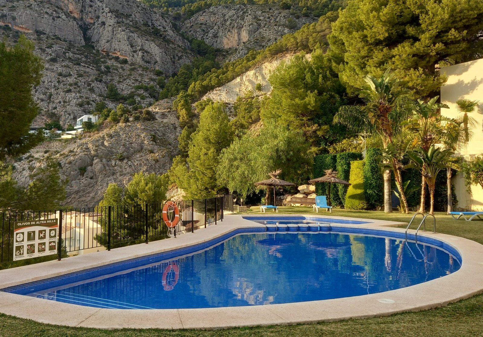 Копия 20240126_172036