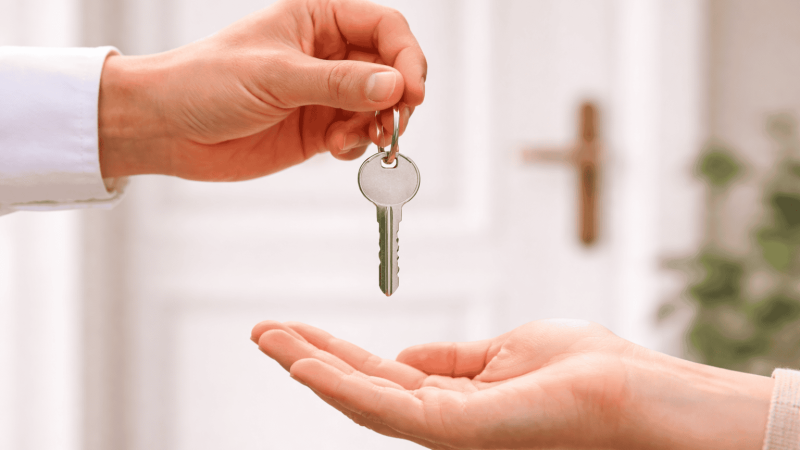 ChatGPT Image 26 янв. 2026 г., 11_25_15